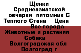 Щенки Среднеазиатской овчарки (питомник С Теплого Стана) › Цена ­ 20 000 - Все города Животные и растения » Собаки   . Волгоградская обл.,Волгоград г.